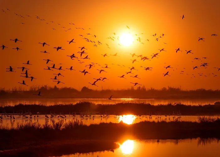 Happy House - Host Solution Apartment