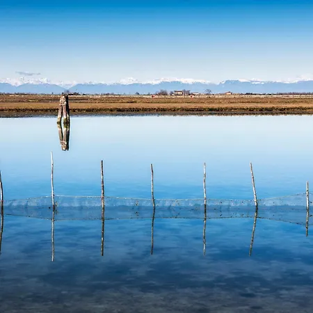 Happy House - Host Solution * Τζεσόλο Λίντο