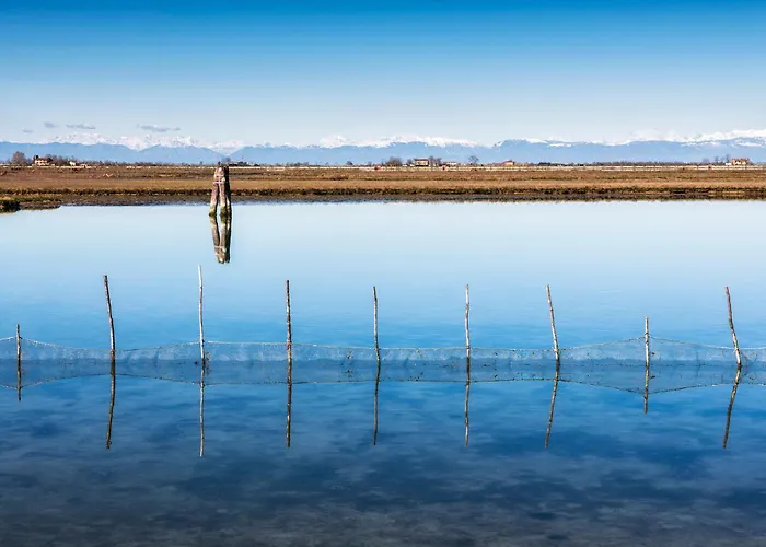 Happy House - Host Solution * Τζεσόλο Λίντο